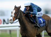 15 December 2010; Tranquil Sea, with Andrew McNamara up, on their way to winning The John Durkan Memorial Punchestown Steeplechase after jumping the last. Fairyhouse Racecourse, Fairyhouse, Co. Meath. Picture credit: Matt Browne / SPORTSFILE