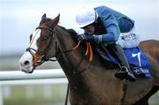 15 December 2010; Tranquil Sea, with Andrew McNamara up, on their way to winning The John Durkan Memorial Punchestown Steeplechase after jumping the last. Fairyhouse Racecourse, Fairyhouse, Co. Meath. Picture credit: Matt Browne / SPORTSFILE