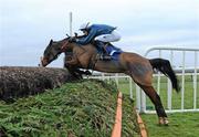 15 December 2010; Tranquil Sea, with Andrew McNamara up, jumps the last on their way to winning The John Durkan Memorial Punchestown Steeplechase. Fairyhouse Racecourse, Fairyhouse, Co. Meath. Picture credit: Matt Browne / SPORTSFILE