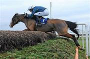 15 December 2010; Tranquil Sea, with Andrew McNamara up, jumps the last on their way to winning The John Durkan Memorial Punchestown Steeplechase. Fairyhouse Racecourse, Fairyhouse, Co. Meath. Picture credit: Matt Browne / SPORTSFILE