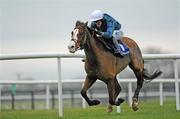 15 December 2010; Tranquil Sea, with Andrew McNamara up, on their way to winning The John Durkan Memorial Punchestown Steeplechase. Fairyhouse Racecourse, Fairyhouse, Co. Meath. Picture credit: Barry Cregg / SPORTSFILE