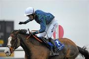 15 December 2010; Jockey Andrew McNamara celebrates after winning The John Durkan Memorial Punchestown Steeplechase on Tranquil Sea. Fairyhouse Racecourse, Fairyhouse, Co. Meath. Picture credit: Barry Cregg / SPORTSFILE