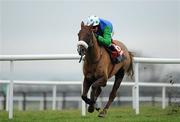 15 December 2010; Jessies Dream, with Timmy Murphy up, on his way to winning The Bar One Racing Drinmore Novice Steeplechase. Fairyhouse Racecourse, Fairyhouse, Co. Meath. Picture credit: Barry Cregg / SPORTSFILE