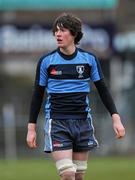 15 December 2010; Brendan Clarke, Newpark Comprehensive. McMullen Cup Final, Skerries C.C. v Newpark Comprehensive, Donnybrook, Dublin. Picture credit: David Maher / SPORTSFILE