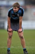 15 December 2010; Fergus Halpin, Newpark Comprehensive. McMullen Cup Final, Skerries C.C. v Newpark Comprehensive, Donnybrook, Dublin. Picture credit: David Maher / SPORTSFILE