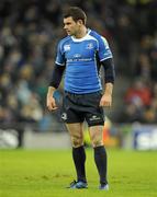 18 December 2010; Fergus McFadden, Leinster. Heineken Cup, Pool 2, Round 4, Leinster v ASM Clermont Auvergne, Aviva Stadium, Lansdowne Road, Dublin. Picture credit: Brendan Moran / SPORTSFILE