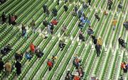 18 December 2010; Supporters take their seats before the game. Heineken Cup, Pool 2, Round 4, Leinster v ASM Clermont Auvergne, Aviva Stadium, Lansdowne Road, Dublin. Picture credit: Brendan Moran / SPORTSFILE