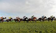 28 December 2010; A general view of the field making their way towards the first bend first time round during The Mongey Communications Novice Handicap Hurdle. Leopardstown Christmas Racing Festival 2010, Leopardstown Racecourse, Leopardstown, Dublin. Picture credit: Barry Cregg / SPORTSFILE