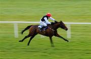 29 December 2010; Our Girl Salley, with Barry Geraghty up, on their way to winning The I.T.B.A Fillies Scheme European Breeders Fund Mares Hurdle. Leopardstown Christmas Racing Festival 2010, Leopardstown Racecourse, Leopardstown, Dublin. Picture credit: Stephen McCarthy / SPORTSFILE