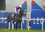 30 December 2010; Hidden Universe, with Robbie McNamara up, passes the post to win The Bord na Mona Clean Water Maiden Hurdle. Leopardstown Christmas Racing Festival 2010, Leopardstown Racecourse, Leopardstown, Dublin. Picture credit: Barry Cregg / SPORTSFILE