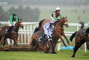 30 December 2010; Battling Boru, with Bryan Cooper up, crash at the first fence during The Bord na Mona Clean Water Maiden Hurdle. Leopardstown Christmas Racing Festival 2010, Leopardstown Racecourse, Leopardstown, Dublin. Picture credit: Stephen McCarthy / SPORTSFILE