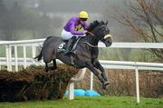 30 December 2010; Hidden Universe, with Robbie McNamara up, jumps the last on their way to winning The Bord na Mona Clean Water Maiden Hurdle. Leopardstown Christmas Racing Festival 2010, Leopardstown Racecourse, Leopardstown, Dublin. Picture credit: Stephen McCarthy / SPORTSFILE