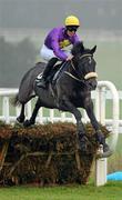 30 December 2010; Hidden Universe, with Robbie McNamara up, jumps the last, first time around, on their way to winning The Bord na Mona Clean Water Maiden Hurdle. Leopardstown Christmas Racing Festival 2010, Leopardstown Racecourse, Leopardstown, Dublin. Picture credit: Stephen McCarthy / SPORTSFILE