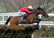 30 December 2010; Sailors Warn, with Andrew McNamara up, jump the last on their way to winning The Bord na Mona Fire Magic Juvenile Hurdle. Leopardstown Christmas Racing Festival 2010, Leopardstown Racecourse, Leopardstown, Dublin. Picture credit: Stephen McCarthy / SPORTSFILE