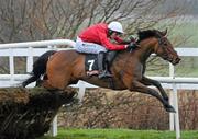 30 December 2010; Sailors Warn, with Andrew McNamara up, jump the last on their way to winning The Bord na Mona Fire Magic Juvenile Hurdle. Leopardstown Christmas Racing Festival 2010, Leopardstown Racecourse, Leopardstown, Dublin. Picture credit: Stephen McCarthy / SPORTSFILE