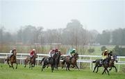 30 December 2010; Runners and riders during The Bord na Mona Fire Magic Juvenile Hurdle. Leopardstown Christmas Racing Festival 2010, Leopardstown Racecourse, Leopardstown, Dublin. Picture credit: Stephen McCarthy / SPORTSFILE