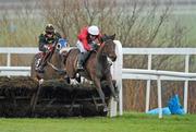 30 December 2010; Sailors Warn, with Andrew McNamara up, jumps the last ahead of Fearless Falcon, with Keith Donoghue up, on their way to winning The Bord na Mona Fire Magic Juvenile Hurdle. Leopardstown Christmas Racing Festival 2010, Leopardstown Racecourse, Leopardstown, Dublin. Picture credit: Barry Cregg / SPORTSFILE