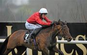 30 December 2010; Sailors Warn, with Andrew McNamara up, on their way to winning The Bord na Mona Fire Magic Juvenile Hurdle. Leopardstown Christmas Racing Festival 2010, Leopardstown Racecourse, Leopardstown, Dublin. Picture credit: Barry Cregg / SPORTSFILE