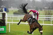 30 December 2010; Jockey Robert Power is unseated by his mount Saludos at the last, while leading, during the The Bord na Mona With Nature Novice Steeplechase. Leopardstown Christmas Racing Festival 2010, Leopardstown Racecourse, Leopardstown, Dublin. Picture credit: Stephen McCarthy / SPORTSFILE