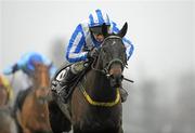 30 December 2010; Realt Dubh, with Paul Carberry up, on their way to winning The Bord na Mona With Nature Novice Steeplechase. Leopardstown Christmas Racing Festival 2010, Leopardstown Racecourse, Leopardstown, Dublin. Picture credit: Barry Cregg / SPORTSFILE