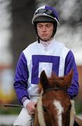 30 December 2010; Jockey Martin Doran. Leopardstown Christmas Racing Festival 2010, Leopardstown Racecourse, Leopardstown, Dublin. Picture credit: Barry Cregg / SPORTSFILE