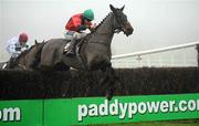 30 December 2010; Askthemaster, with Philip Enright up, jumps the last ahead of Arklow Ger, with Alain Cawley up, on their way to winning The Bord na Mona Firepak Handicap Steeplechase. Leopardstown Christmas Racing Festival 2010, Leopardstown Racecourse, Leopardstown, Dublin. Picture credit: Barry Cregg / SPORTSFILE