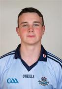 11 June 2010; Liam Rushe, Dublin, Dublin Senior Hurling Squad Portraits 2010, O'Toole Park, Dublin. Picture credit: David Maher / SPORTSFILE