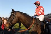 30 January 2011; Jockey Paul Townend aboard Golden Silver after winning the Boylesports.com Tied Cottage Steeplechase. Horse Racing, Punchestown Racecourse, Punchestown, Co. Kildare. Photo by Sportsfile