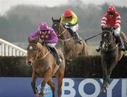 30 January 2011; Golden Silver, right, with Paul Townend up, jumps the last on their way to winning the Boylesports.com Tied Cottage Steeplechase, behind eventual second place Big Zeb, left, with Barry Geraghty up, and ahead of eventual third place Sizing Europe, with Andrew Lynch up, centre. Horse Racing, Punchestown Racecourse, Punchestown, Co. Kildare. Photo by Sportsfile