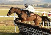 30 January 2011; Gagewell Flyer, with Paul Townend up, jumps the last on their way to winning the Moscow Flyer Novice Hurdle. Horse Racing, Punchestown Racecourse, Punchestown, Co. Kildare. Photo by Sportsfile