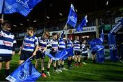23 September 2016; Flag wavers from Blackrock College RFC ahead of the Guinness PRO12, Round 4, match between Leinster and Ospreys at the RDS Arena in Dublin. Photo by Ramsey Cardy/Sportsfile