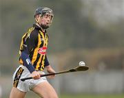 23 January 2011; Joe Brennan, Kilkenny. Walsh Cup, Kilkenny v NUI Galway, St Patrick's GAA Club, Ballyragget, Co Kilkenny. Picture credit: Ray McManus / SPORTSFILE