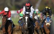 12 February 2011; Unaccompanied, with Paul Townend up, on their way to winning the Tote Jackpot Races 3 to 6 Spring Juvenile Hurdle. Leopardstown Racecourse, Leopardstown, Dublin. Photo by Sportsfile