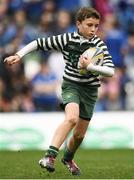 8 October 2016; Action from the Bank of Ireland half-time minis game featuring Greystones RFC and Clane RFC during the Guinness PRO12 Round 6 match between Leinster and Munster at the Aviva Stadium in Lansdowne Road, Dublin. Photo by Brendan Moran/Sportsfile