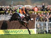 18 March 2011; Long Run, with Sam Wayley-Cohen up, jumps the last on their way to winning the totesport Cheltenham Gold Cup. Cheltenham Racing Festival 2011, Prestbury Park, Cheltenham, England. Picture credit: Matt Browne / SPORTSFILE