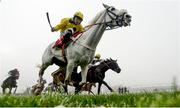 20 November 2016; Dalmatia, with Mark Enright up, on their way to winning the Total Event Rental Handicap Hurdle at Punchestown Racecourse in Naas, Co. Kildare. Photo by Ramsey Cardy/Sportsfile