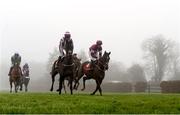 20 November 2016; A general view of runners and riders during the Ryans Cleaning Craddockstown Novice Steeplechase at Punchestown Racecourse in Naas, Co. Kildare. Photo by Ramsey Cardy/Sportsfile