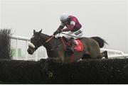 20 November 2016; A Toi Phil, with Ruby Walsh up, on their way to winning the Florida Pearl Novice Steeplechase at Punchestown Racecourse in Naas, Co. Kildare. Photo by Ramsey Cardy/Sportsfile