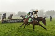 20 November 2016; Nichols Canyon, with Ruby Walsh up, jumps the last, first time round, on their way to winning the StanJames.com Morgiana Hurdle at Punchestown Racecourse in Naas, Co. Kildare. Photo by Ramsey Cardy/Sportsfile