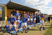 17 April 2011; The Wicklow bench celebrate the last point for their team. Allianz GAA Hurling Division 3A Final, Wicklow v Derry, Pearse Park, Longford. Picture credit: Ray McManus / SPORTSFILE