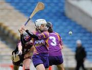 17 April 2011; Mags D'Arcy, Wexford. Irish Daily Star Camogie League, Division 1, Final, Galway v Wexford, Semple Stadium, Thurles, Co. Tipperary. Picture credit: Brian Lawless / SPORTSFILE