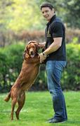 20 April 2011; Pictured at the launch of the 2011 Pedigree Adoption Drive is dog lover Munster and Ireland rugby star David Wallace with his friend Rusty, a Red Setter / Labrador Cross, from the ISPCA. 45 dogs are abandoned in Ireland every day, 17 dogs are put to sleep. In order to help curb these startling figures, Pedigree has teamed up David and Aoibhinn for the 2011 Annual Pedigree Adoption Drive. St. Stephen's Green, Dublin. Picture credit: Brian Lawless / SPORTSFILE