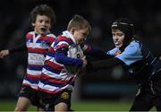 3 December 2016; Action from the Bank of Ireland Minis game between North Kildare RFC and Navan RFC at the Guinness PRO12 Round 10 match between Leinster and Newport Gwent Dragons at the RDS Arena in Ballsbridge, Dublin. Photo by Brendan Moran/Sportsfile