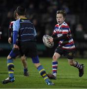 3 December 2016; Action from the Bank of Ireland Minis game between North Kildare RFC and Navan RFC at the Guinness PRO12 Round 10 match between Leinster and Newport Gwent Dragons at the RDS Arena in Ballsbridge, Dublin. Photo by Brendan Moran/Sportsfile