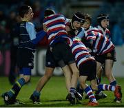 3 December 2016; Action from the Bank of Ireland Minis game between Navan RFC and North Kildare RFC at the Guinness PRO12 Round 10 match between Leinster and Newport Gwent Dragons at the RDS Arena in Ballsbridge, Dublin. Photo by Seb Daly/Sportsfile