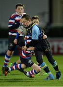 3 December 2016; Action from the Bank of Ireland Minis game between Navan RFC and North Kildare RFC at the Guinness PRO12 Round 10 match between Leinster and Newport Gwent Dragons at the RDS Arena in Ballsbridge, Dublin. Photo by Seb Daly/Sportsfile