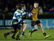 3 December 2016; Action from the Bank of Ireland Minis game between Gorey FC and Clondalkin RFC at the Guinness PRO12 Round 10 match between Leinster and Newport Gwent Dragons at the RDS Arena in Ballsbridge, Dublin. Photo by Seb Daly/Sportsfile