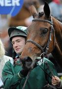 26 April 2011; Jockey Richard Harding with Salsify after winning the Joseph R. O'Reilly Memorial Hunters Steeplechase. Fairyhouse Easter Festival, Fairyhouse Racecourse, Fairyhouse, Co. Meath. Picture credit: Brian Lawless / SPORTSFILE