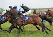 26 April 2011; Gamede, with Sean Walter Flanagan up, during the Weatherbys Ireland GSB Hurdle. Fairyhouse Easter Festival, Fairyhouse Racecourse, Fairyhouse, Co. Meath. Picture credit: Brian Lawless / SPORTSFILE