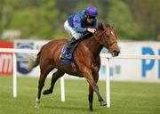 8 May 2011; French Emperor, with Colm O'Donoghue up, on their way to winning the Irish Stallion Farms European Breeders Fund Auction Maiden. Leopardstown Racecourse, Leopardstown, Dublin. Photo by Sportsfile